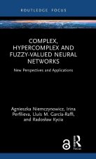 Complex, Hypercomplex and Fuzzy-valued Neural Networks