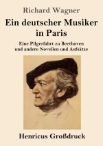 Ein deutscher Musiker in Paris (Großdruck)