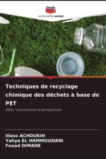 Techniques de recyclage chimique des déchets à base de PET