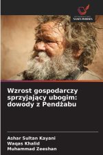 Wzrost gospodarczy sprzyjajacy ubogim: dowody z Pendzabu