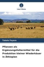Pflanzen als Ergänzungsfuttermittel für die Produktion kleiner Wiederkäuer in Äthiopien