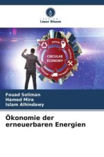 Ökonomie der erneuerbaren Energien