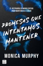 PROMESAS QUE INTENTAMOS MANTENER