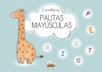 Escritura Pautas Mayúsculas