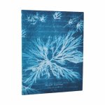 SEA FLOWERS ULTRA SC JOURNAL