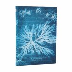 SEA FLOWERS MIDI SC JOURNAL