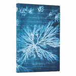 SEA FLOWERS MINI SC JOURNAL