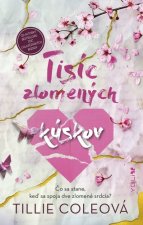 Tisíc zlomených kúskov