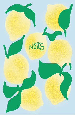 Carnet Citrons