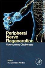 Peripheral Nerve Regeneration