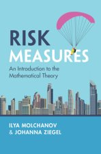 Risk Measures