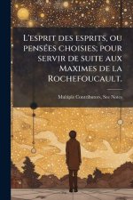 L'esprit des esprits, ou pensÃ(c)es choisies; pour servir de suite aux Maximes de la Rochefoucault.