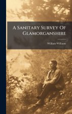 A Sanitary Survey Of Glamorganshire