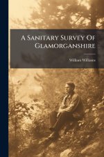 A Sanitary Survey Of Glamorganshire