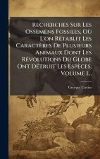 Recherches Sur Les Ossemens Fossiles, OÃ¹ L'on RÃ(c)tablit Les Caractères De Plusieurs Animaux Dont Les RÃ(c)volutions Du Globe Ont DÃ(c)truit Les Esp