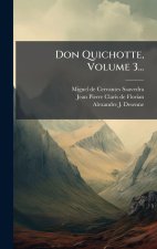 Don Quichotte, Volume 3...
