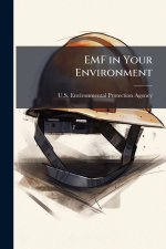EMF in Your Environment