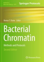 Bacterial Chromatin