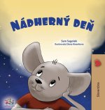 A Wonderful Day (Slovak Children's Book)
