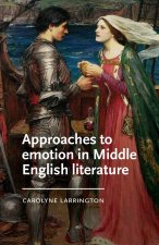 Approaches to Emotion in Middle English Literature