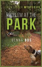 Problem At The Park