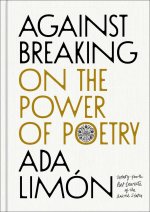 Against Breaking