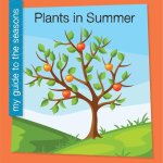 Plants in Summer