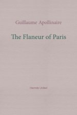 The Flaneur of Paris