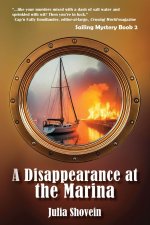 A Disappearance at the Marina