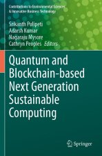 Quantum and Blockchain-based Next Generation Sustainable Computing