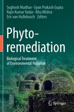 Phytoremediation