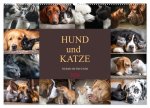 Hund und Katze - Tierische Freunde (Wandkalender 2026 DIN A2 quer), CALVENDO Monatskalender