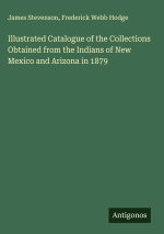 Illustrated Catalogue of the Collections Obtained from the Indians of New Mexico and Arizona in 1879