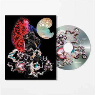 Björk: Cornucopia Live