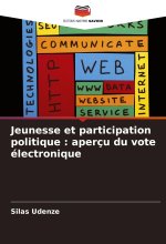 Jeunesse et participation politique : aperçu du vote électronique