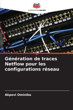 Génération de traces Netflow pour les configurations réseau