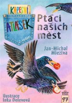 Ptáci našich měst
