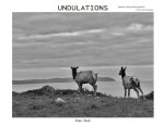 Undulations
