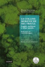 colline moreniche del Friuli. Laghi, torbiere e zone umide. Riflessioni sul «terzo paesaggio»