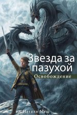Звезда за пазухой Книга в