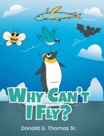 Why Can't I Fly?