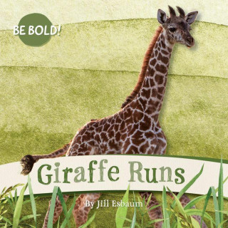 Giraffe Runs!