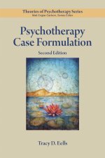 Psychotherapy Case Formulation