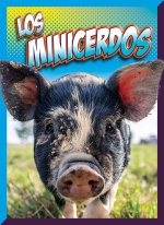 Los Minicerdos