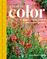 A Year of Color