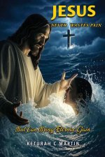 Jesus Never Wastes Pain