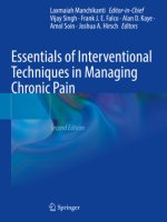 Essentials of Interventional Techniques in Managing Chronic Pain