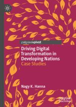 Driving Digital Transformation in Developing Nations