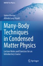 Many-Body Techniques in Condensed Matter Physics