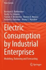 Electric Consumption by Industrial Enterprises
